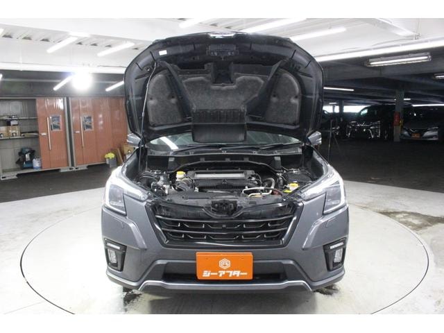 Миниатюра 76
