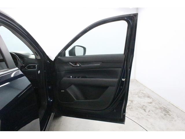 Миниатюра 29