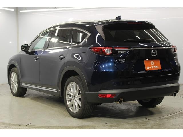 Миниатюра 8