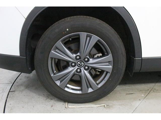 Миниатюра 25