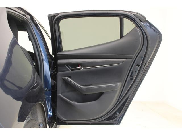 Миниатюра 31