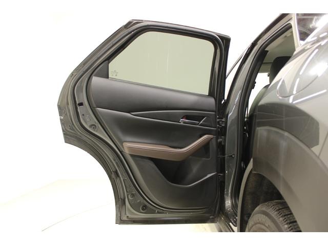 Миниатюра 34