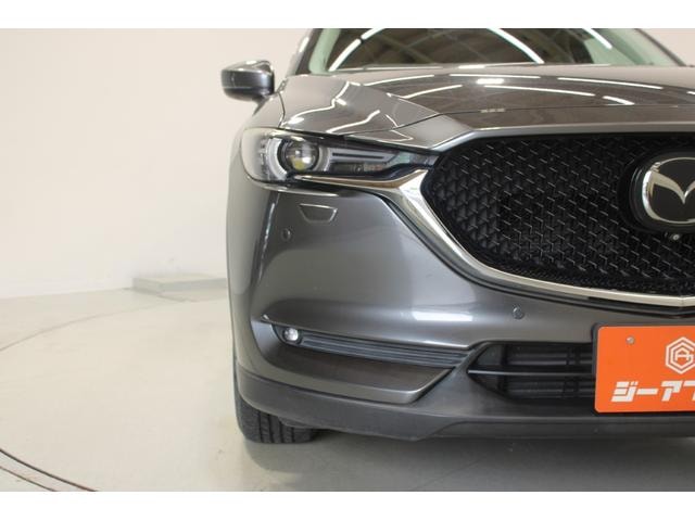 Миниатюра 17
