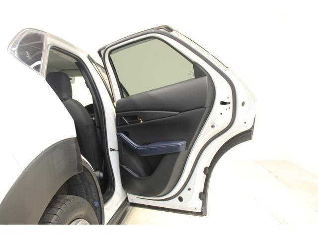 Миниатюра 31