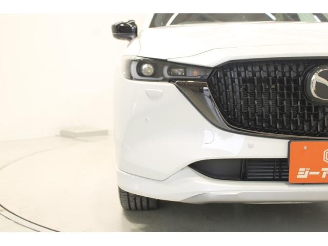 Миниатюра 17