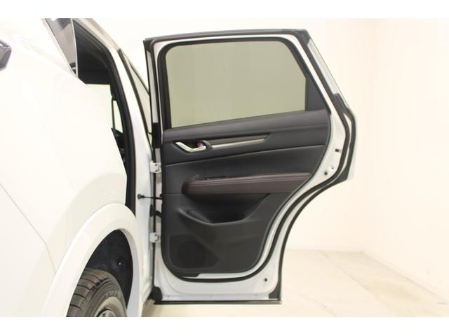 Миниатюра 31