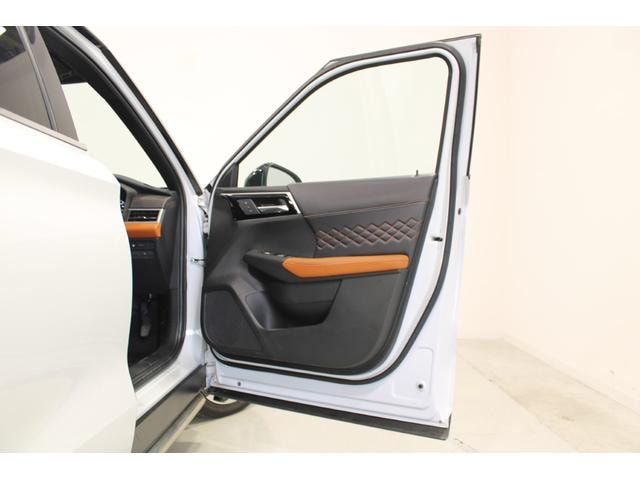 Миниатюра 30