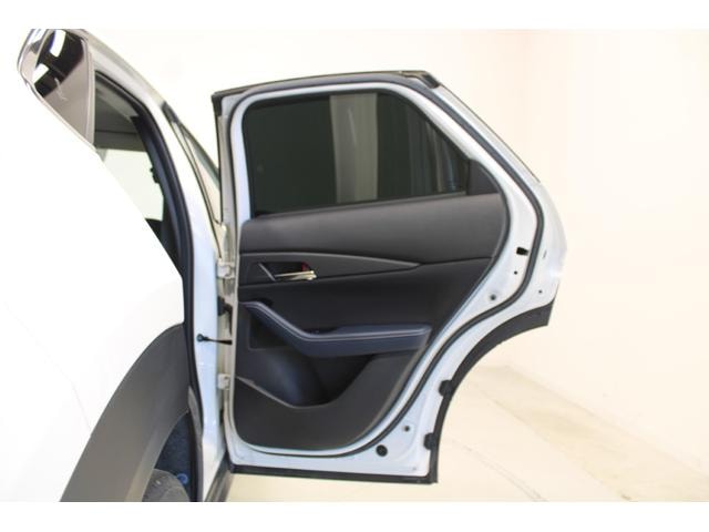 Миниатюра 31