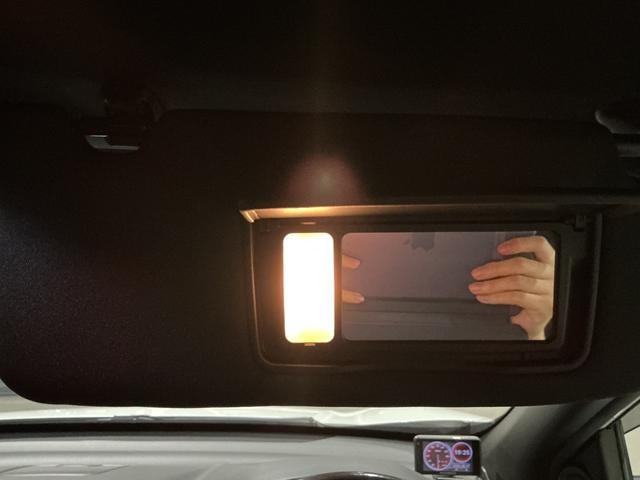 Миниатюра 30