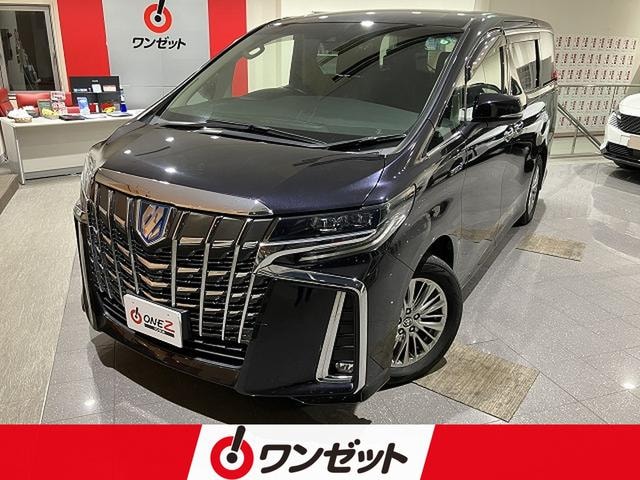 Toyota ALPHARD HYBRID 2019 — фото автомобиля 1