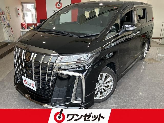 Toyota ALPHARD 2022 — фото автомобиля 1