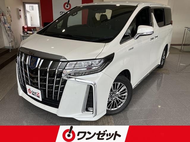 Toyota ALPHARD HYBRID 2019 — фото автомобиля
