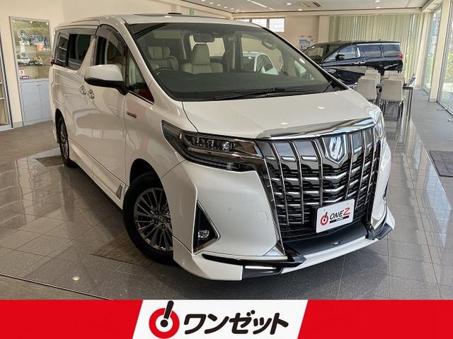 Toyota ALPHARD HYBRID 2019 — фото автомобиля