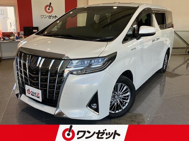 Toyota ALPHARD HYBRID 2019 — фото автомобиля