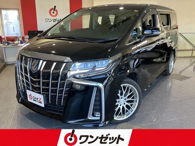 Toyota ALPHARD HYBRID 2019 — фото автомобиля