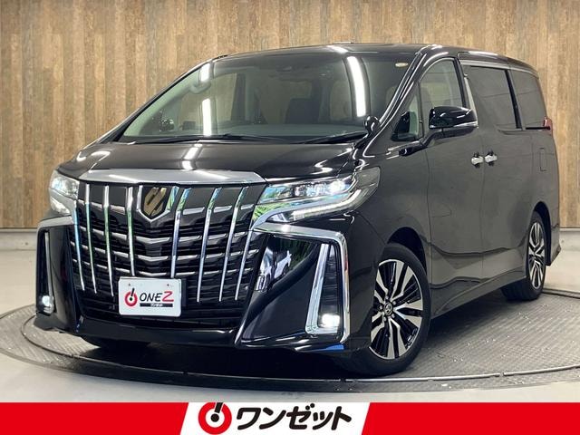 Toyota ALPHARD 2022 — фото автомобиля