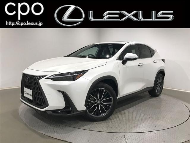 Lexus NX 2023 — фото автомобиля 1
