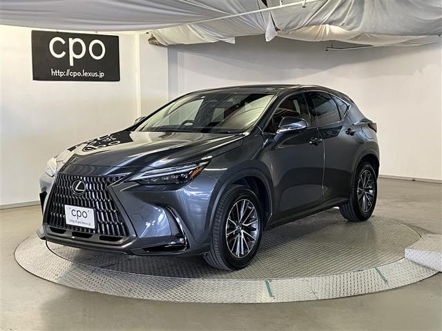 Lexus NX 2023 — фото автомобиля 1