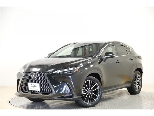 Lexus NX 2023 — фото автомобиля 1