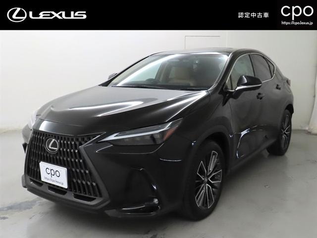 Lexus NX 2022 — фото автомобиля