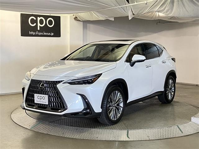 Lexus NX 2023 — фото автомобиля