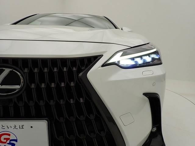 Миниатюра 20