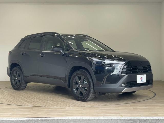 Миниатюра 30
