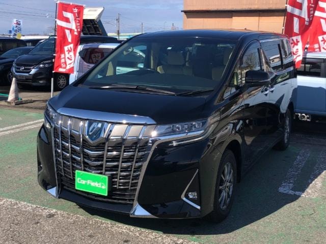 Toyota ALPHARD HYBRID 2023 — фото автомобиля