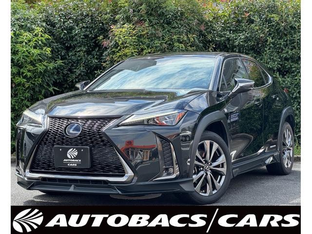 Lexus UX 2020 — фото автомобиля 1