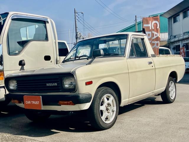 Nissan SUNNY TRUCK 1993 — фото автомобиля