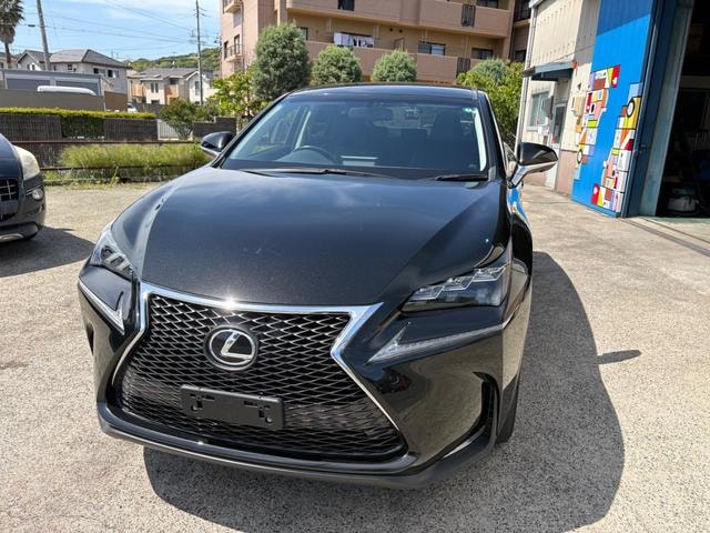 Lexus NX 2015 — фото автомобиля 1