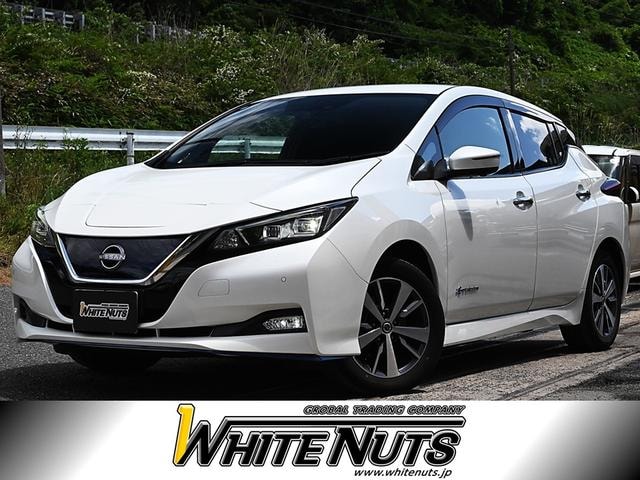 Nissan LEAF 2020 — фото автомобиля 1