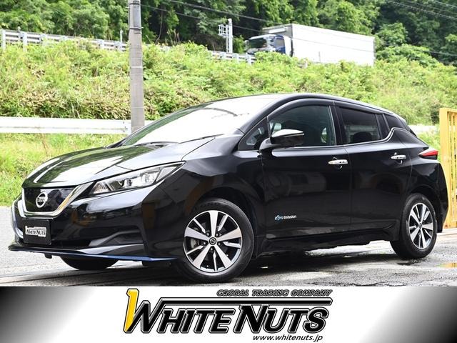 Nissan LEAF 2019 — фото автомобиля 1