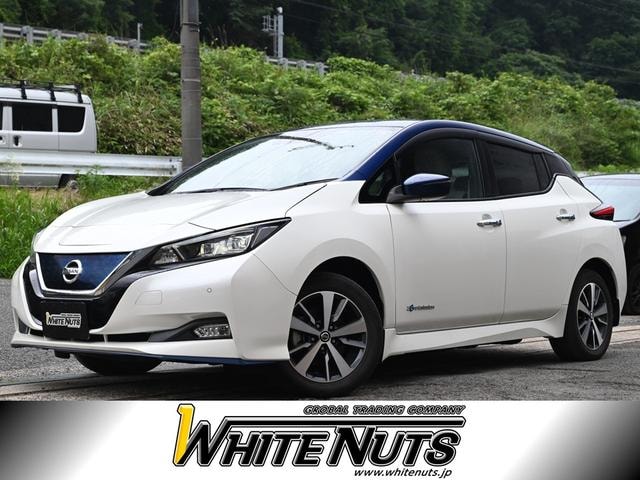 Nissan LEAF 2019 — фото автомобиля 1