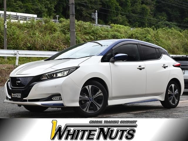 Nissan LEAF 2020 — фото автомобиля 1