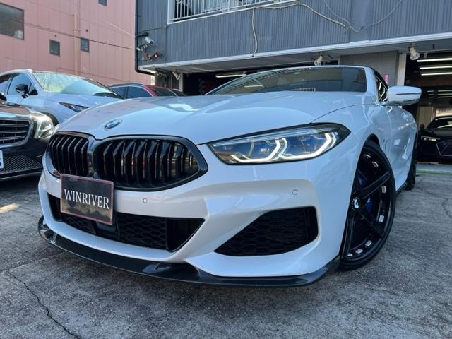 Bmw 8 SERIES 2019 — фото автомобиля