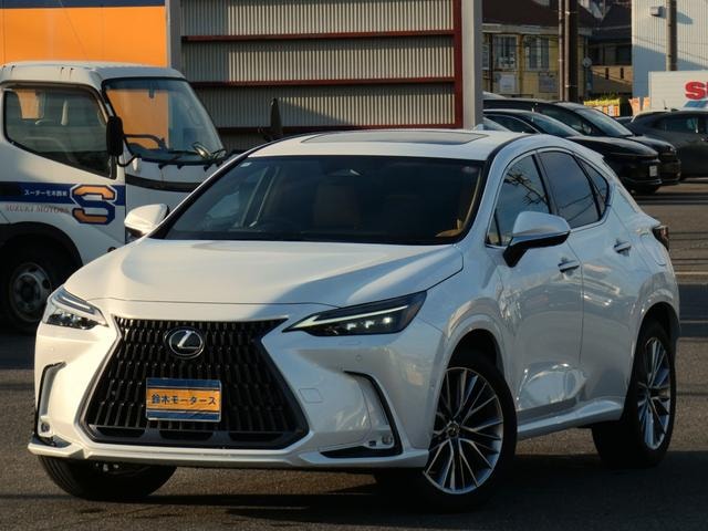 Lexus NX 2024 — фото автомобиля 1