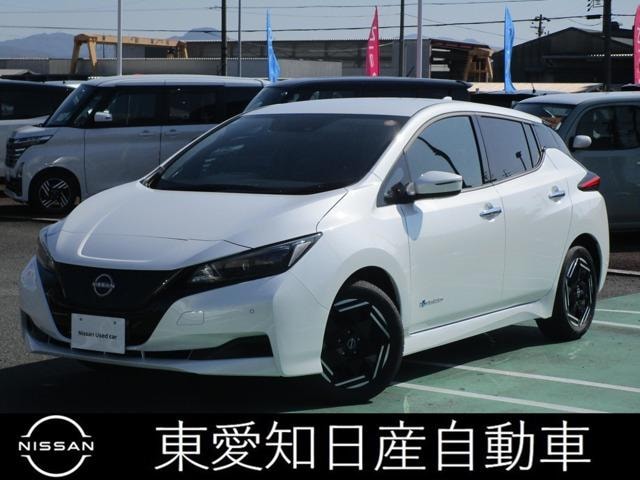 Nissan LEAF 2024 — фото автомобиля 1
