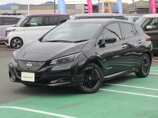 Nissan LEAF 2024 — фото автомобиля 1