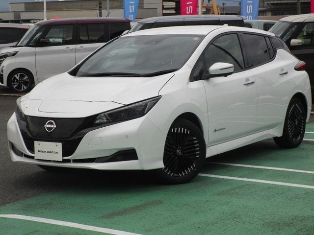 Nissan LEAF 2024 — фото автомобиля