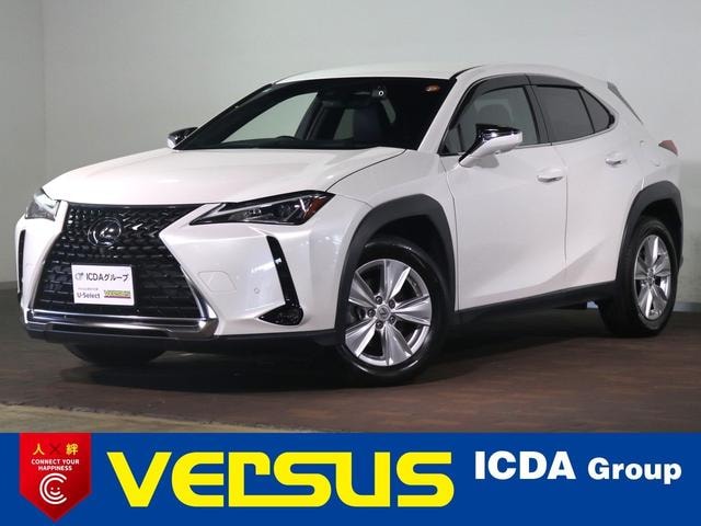 Lexus UX 2021 — фото автомобиля 1