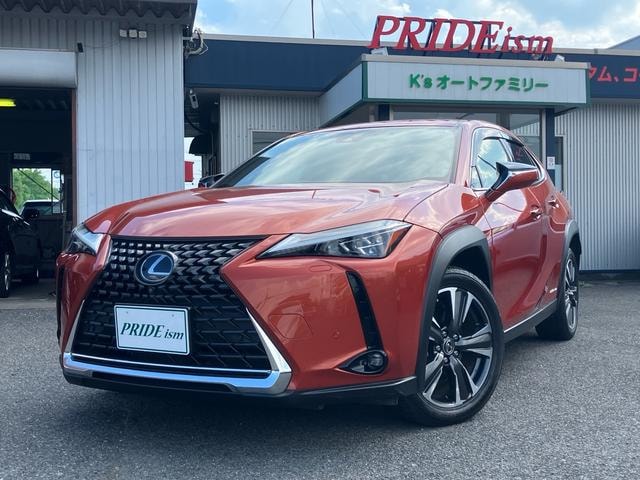 Lexus UX 2019 — фото автомобиля 1