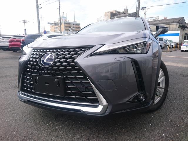 Lexus UX 2021 — фото автомобиля
