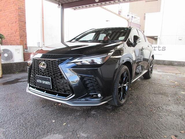 Lexus NX 2023 — фото автомобиля 1
