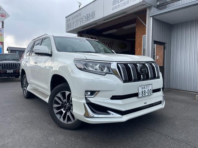 Toyota LAND CRUISER PRADO 2022 — фото автомобиля