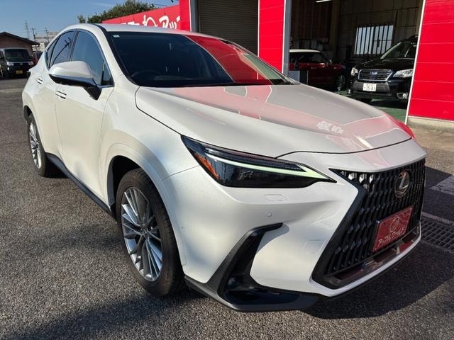 Lexus NX 2024 — фото автомобиля