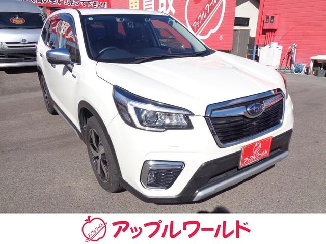 Subaru FORESTER 2019 — фото автомобиля