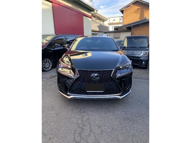 Lexus NX 2019 — фото автомобиля 1