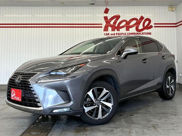 Lexus NX 2017 — фото автомобиля 1