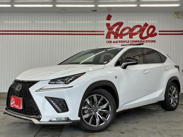 Lexus NX 2019 — фото автомобиля 1